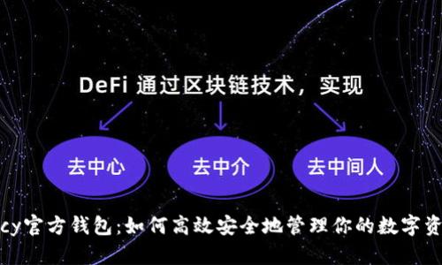 dccy官方钱包：如何高效安全地管理你的数字资产