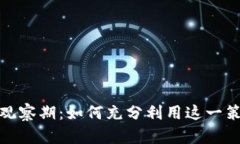 探秘Token Tokenim钱包观察期：如何充分利用这一策