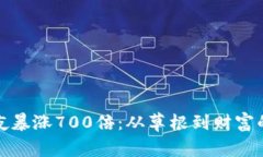 狗狗币一夜暴涨700倍：从草根到财富的逆袭之路