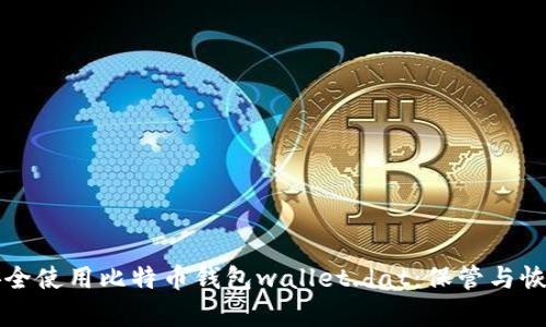 如何安全使用比特币钱包wallet.dat：保管与恢复指南