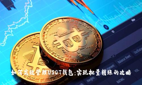 如何高效管理USDT钱包：实现批量转账的攻略