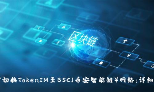 如何切换TokenIM至BSC（币安智能链）网络：详细指南