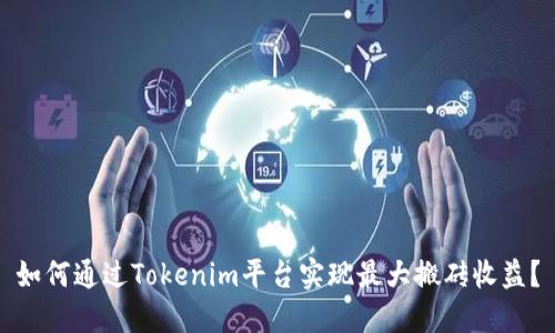如何通过Tokenim平台实现最大搬砖收益？