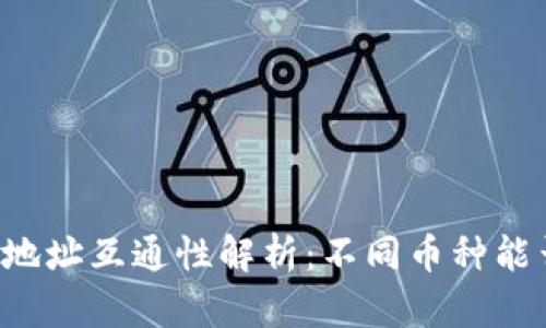 虚拟币钱包地址互通性解析：不同币种能否相互转账？