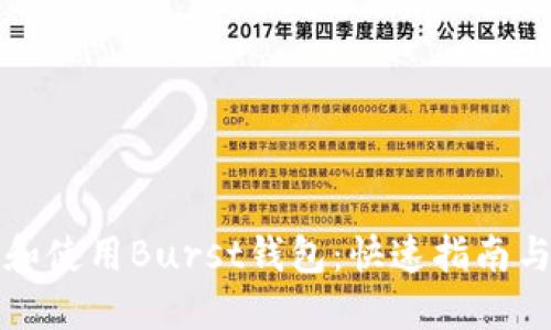 如何下载和使用Burst钱包：快速指南与实用技巧