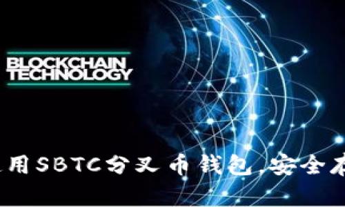 全面解析：如何使用SBTC分叉币钱包，安全存储你的数字资产