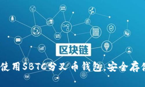 全面解析：如何使用SBTC分叉币钱包，安全存储你的数字资产