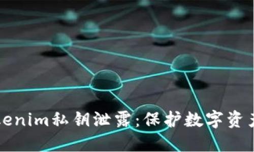 如何防止Tokenim私钥泄露：保护数字资产的实用指南