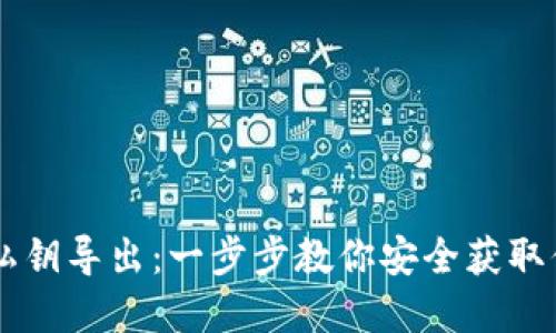 Trezor钱包私钥导出：一步步教你安全获取你的数字资产