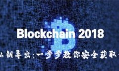 Trezor钱包私钥导出：一步步教你安全获取你的数