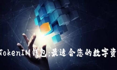 探索TokenTokenIM钱包：最适合您的数字资产管理应用