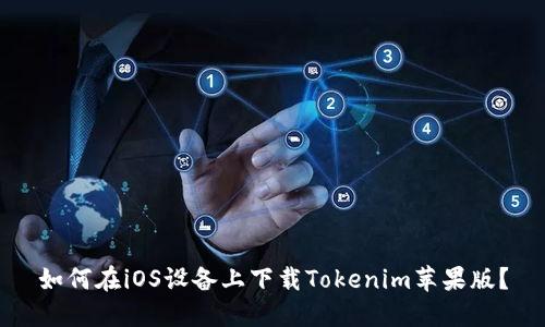 如何在iOS设备上下载Tokenim苹果版？