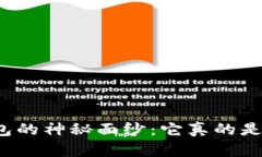 揭开数字钱包的神秘面纱：它真的是正规公司吗