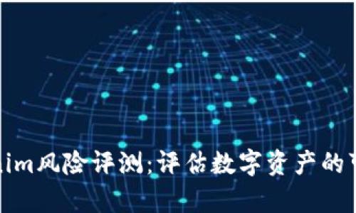 深入解析Tokenim风险评测：评估数字资产的可靠性与安全性