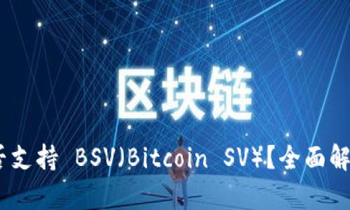 Tokenim 是否支持 BSV（Bitcoin SV）？全面解析与使用指南