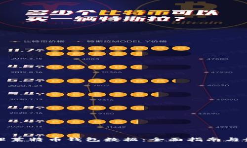 如何清理莱特币钱包数据：全面指南与最佳实践