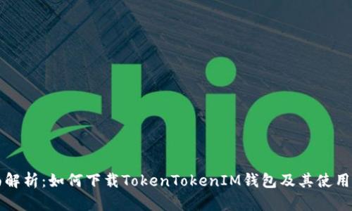 全面解析：如何下载TokenTokenIM钱包及其使用指南