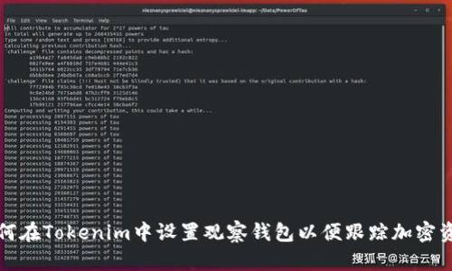 如何在Tokenim中设置观察钱包以便跟踪加密资产