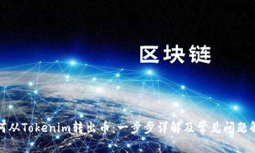 如何从Tokenim转出币：一步步详解及常见问题解答