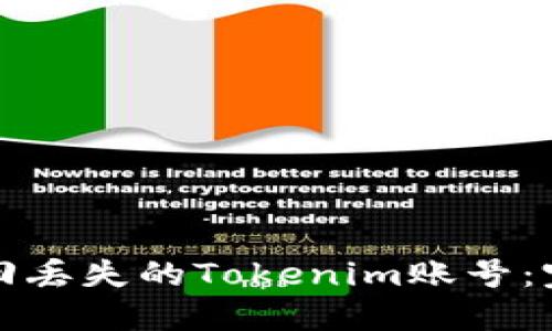 如何找回丢失的Tokenim账号：完整指南