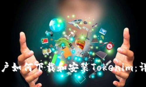 国内用户如何下载和安装Tokenim：详细指南
