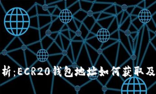 : 详细解析：ECR20钱包地址如何获取及使用技巧