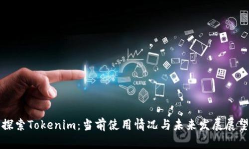 探索Tokenim：当前使用情况与未来发展展望