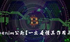 什么是Tokenim公匙？一文看懂其作用与使用方法