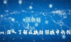 Tokenim：深入了解区块链领域中的创新概念