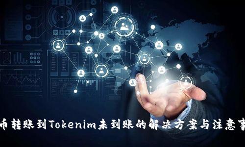 火币转账到Tokenim未到账的解决方案与注意事项