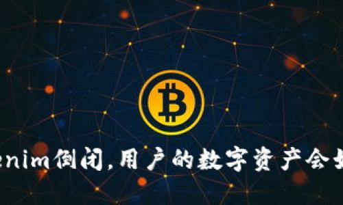 如果Tokenim倒闭，用户的数字资产会如何处理？