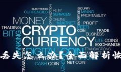 助记词丢失怎么办？全面解析恢复方案