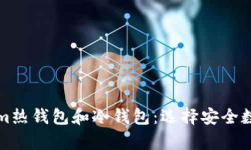 深入理解Tokenim热钱包和冷钱包：选择安全数字资产存储方案