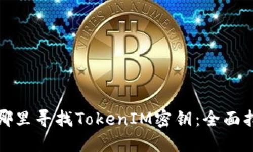 在哪里寻找TokenIM密钥：全面指南