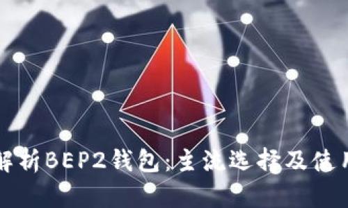 全面解析BEP2钱包：主流选择及使用指南