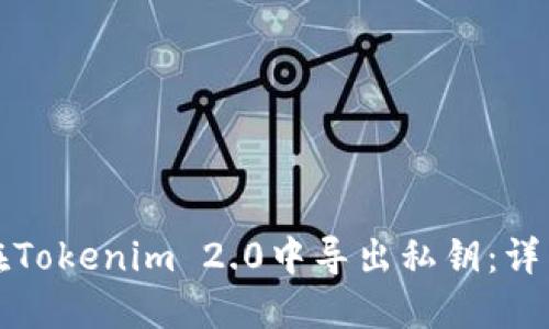 如何在Tokenim 2.0中导出私钥：详细指南