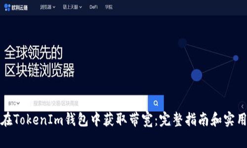 如何在TokenIm钱包中获取带宽：完整指南和实用技巧
