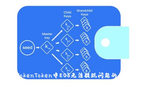解决TokenToken中EOS无法提现问题的全面指南