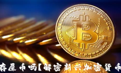 
Tokenim能存屎币吗？解密新兴加密货币的存储方案