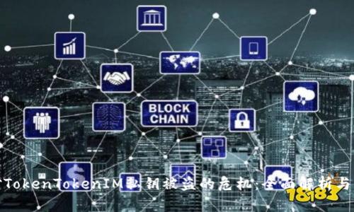 如何应对TokenTokenIM私钥被盗的危机：全面解析与防护措施